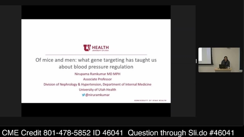 Thumbnail for Of Mice and Men: What Gene Targeting Has Taught Us About Blood Pressure Regulation