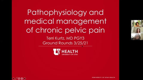 Thumbnail for Pathophysiology &amp; medical management of chronic pelvic pain