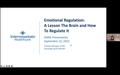 Emotional Regulation YAC