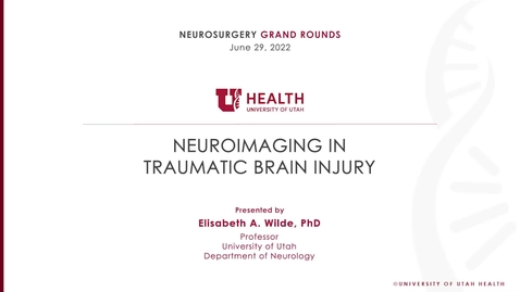 Thumbnail for Neuroimaging in Traumatic Brain Injury