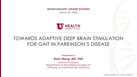 Thumbnail for entry Towards Adaptive Deep Brain Stimulation for Gait in Parkinson’s Disease