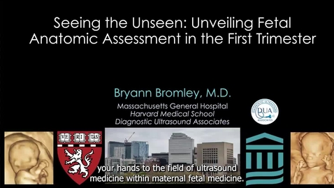 Thumbnail for Seeing the unseen: Unveiling fetal anatomic assessment in the first trimester