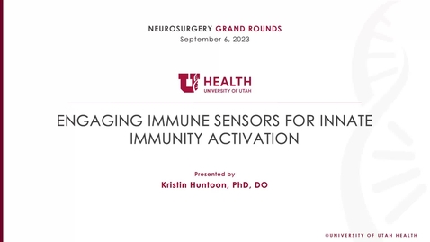 Thumbnail for entry Engaging Immune Sensors for Innate Immunity Activation