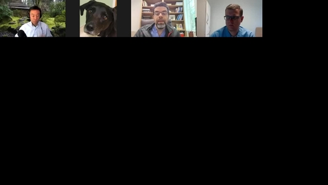 Thumbnail for Cultivating the resilient mind