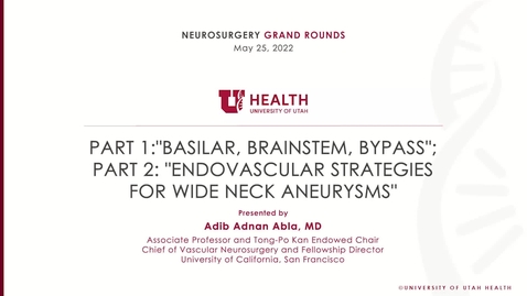 Thumbnail for Part 1:"Basilar, Brainstem, Bypass"; Part 2: "Endovascular Strategies for Wide Neck Aneurysms"