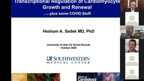 Thumbnail for Transcriptional regulation of cardiomyocyte growth &amp; renewal...plus some Covid stuff