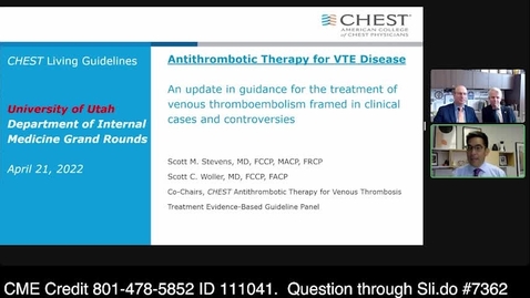 Thumbnail for Antithrombotic Therapy for VTE Disease: An Update in Guidance for the Treatment of Venous Thromboembolism Framed in Clinical Cases and Controversies