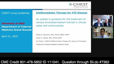 Thumbnail for entry Antithrombotic Therapy for VTE Disease: An Update in Guidance for the Treatment of Venous Thromboembolism Framed in Clinical Cases and Controversies
