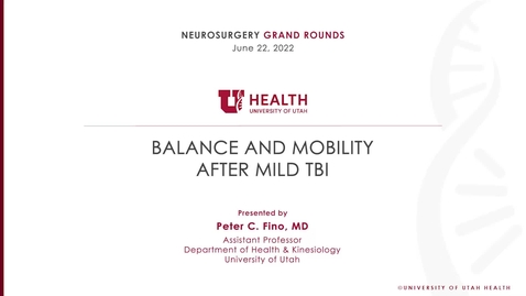 Thumbnail for Balance and Mobility after mild TBI