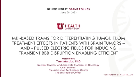 Thumbnail for entry MRI-based TRAMs for Differentiating Tumor from Treatment Effects in Patients with Brain Tumors – and - Pulsed Electric Fields for Inducing Transient BBB Disruption Enabling Efficient Delivery of Drugs into the Brain