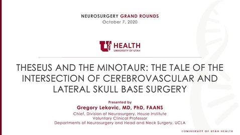 Thumbnail for Theseus and the Minotaur: The Tale of the Intersection of Cerebrovascular and Lateral Skull Base Surgery