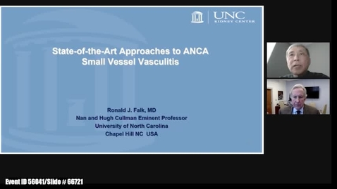 Thumbnail for State-of-the-Art Approaches to Anca Small Vessel Vasculitis