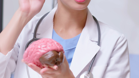 Thumbnail for The Basics of Epilepsy