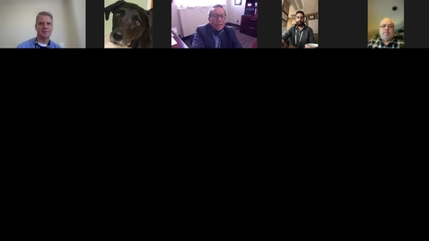 Thumbnail for Updates (and opportunities) in Atrial fibrillation, congnitive decline &amp; dementia