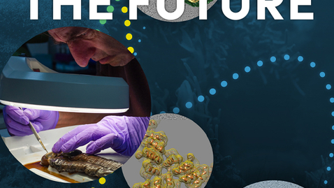 Thumbnail for Pioneering the Future: Inspired by Nature