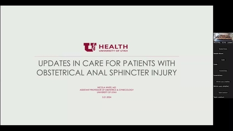 Thumbnail for Updates in care for patients w/ obstetrical anal sphincter injury