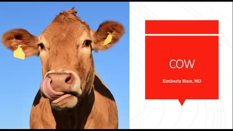 Thumbnail for 5/28/2021 Allergy Tests:  The Good, The Bad, and the Pseudoscience