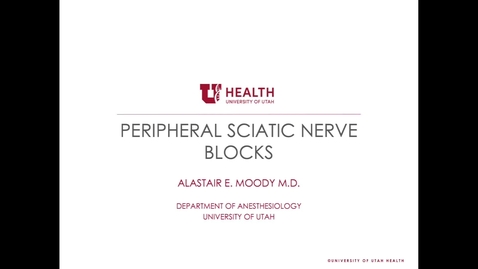 Thumbnail for Peripheral Sciatic Nerve Blocks - Moody