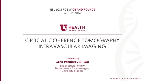 Thumbnail for Optical Coherence Tomography Intravascular Imaging