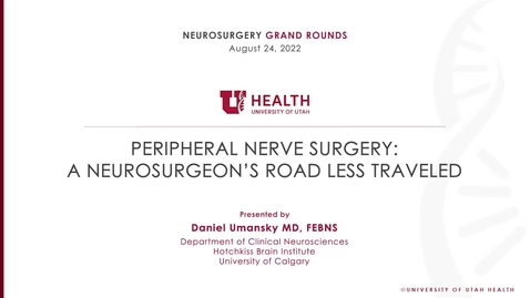 Thumbnail for Peripheral Nerve Surgery: A Neurosurgeon’s Road Less Traveled