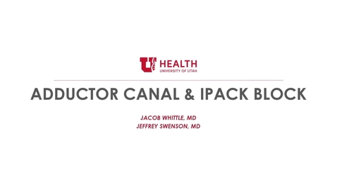 Thumbnail for Adductor Canal Block and iPACK Block - Whittle