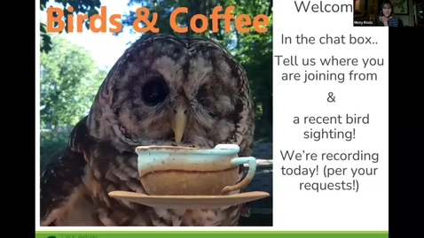 Thumbnail for Birds &amp; Coffee Chats: Cardinals and Allies