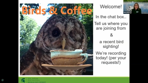 Thumbnail for Birds and Coffee: Backyard Birds