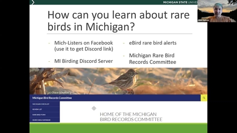 Thumbnail for Birds and Coffee: Rare Birds 2025