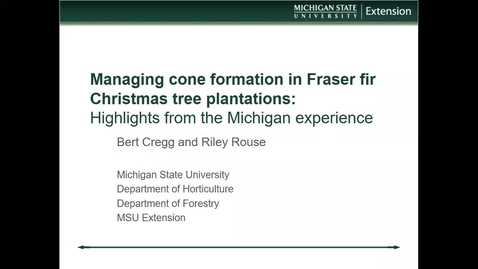Thumbnail for 2022 CRTE: Managing cone formation in Fraser fir Christmas tree plantations: Highlights from the Michigan Experience 