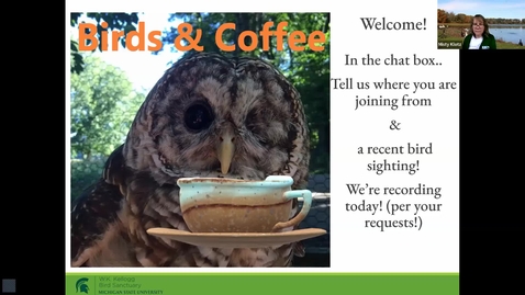 Thumbnail for Birds and Coffee - Backyard Habitat