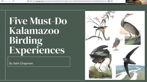Thumbnail for Birds and Coffee - 5 Kalamazoo Birding Experiences 
