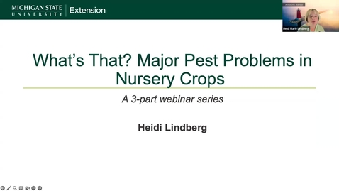 Thumbnail for What’s That? Major Pest Problems in Nurseries Webinar Series