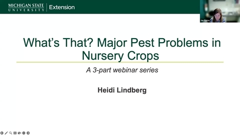 Thumbnail for Common Diseases of Herbaceous Perennials and Woody Ornamentals