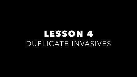 Thumbnail for Lesson 4 - Duplicate Invasives
