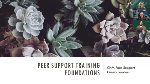 Thumbnail for College of Human Medicine Peer Support Training 1: Foundations
