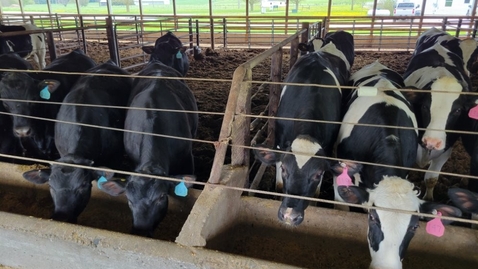 Thumbnail for Healthy Animals, Strong Farms - Biosecurity Training Webinar