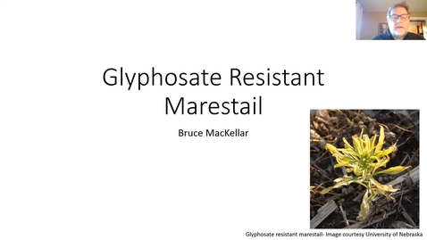 Thumbnail for 4-10-18 Breakfast Meeting - Marestail and Asiatic Garden Beetle