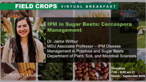 Thumbnail for Field Crops Virtual Breakfast – IPM in Sugarbeets: Cercospora Management