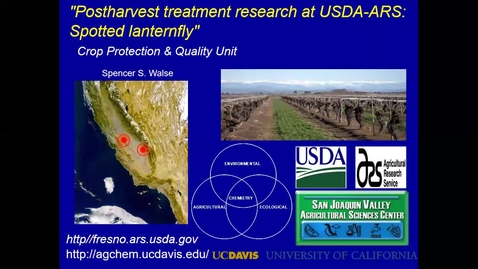 Thumbnail for 2022 CTRE: Postharvest treatments for spotted lanternfly