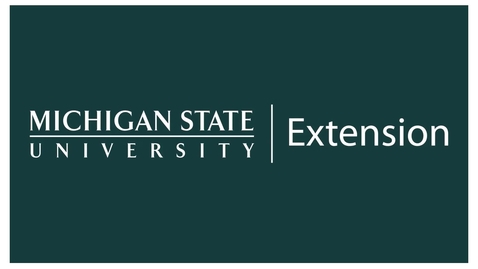 Thumbnail for Michigan 4-H Shooting Sports Policy