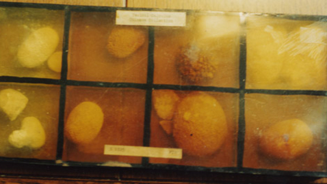 Thumbnail for 1C-9E-3C-67-lamqua-a0a0f2-b