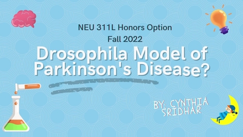Thumbnail for Drosophila Model of PD, Cynthia Sridhar, NEU 311L, Fall 2022