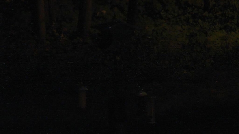 Thumbnail for Holmes NW Central Entrance Camera 08/01/2020
