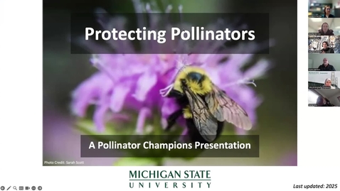 Thumbnail for 2026 Credit Clinic Feb 2_Meghan Milbrath_Pollinator Protection during pesticide application