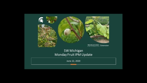 Thumbnail for IPM Fruit Meeting June 22 2020