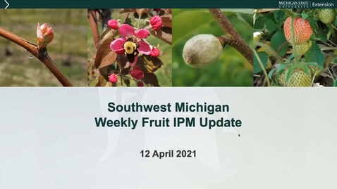 Thumbnail for SWFruitUpdateApril12.2021