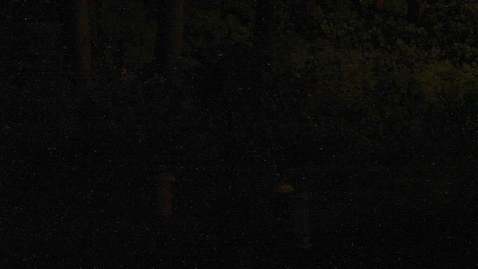 Thumbnail for Holmes NW Central Entrance Camera 07/27/2020