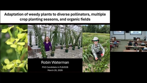 Thumbnail for Robin Waterman Defense Seminar - Adaptation of weedy plants to diverse pollinators, multiple crop planting seasons, and organic fields