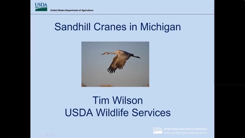 Thumbnail for Wildlife Management Webinar - Sandhill Crane
