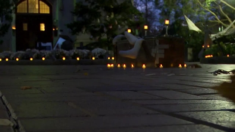 Thumbnail for News Story: The Ringing 2024 - Tessa Kresch